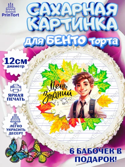 Сахарные круги 12см PT05, 1 сентября, Мальчик, школьник, ученик, учебник, школа, день знаний, осень, арт. PT0518609