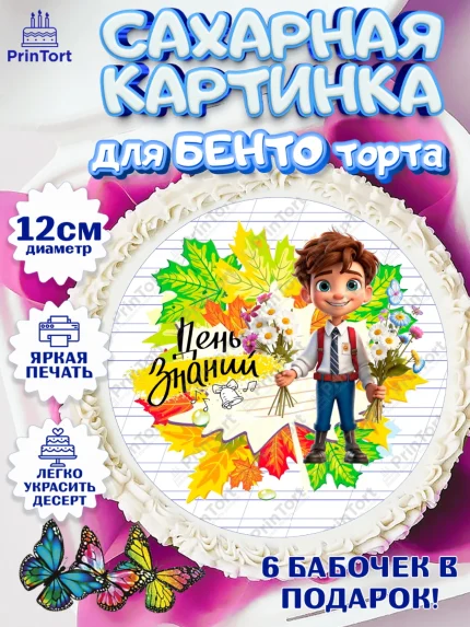 Сахарные круги 12см PT05, 1 сентября, Мальчик, школьник, ученик, учебник, школа, день знаний, осень, арт. PT0518612