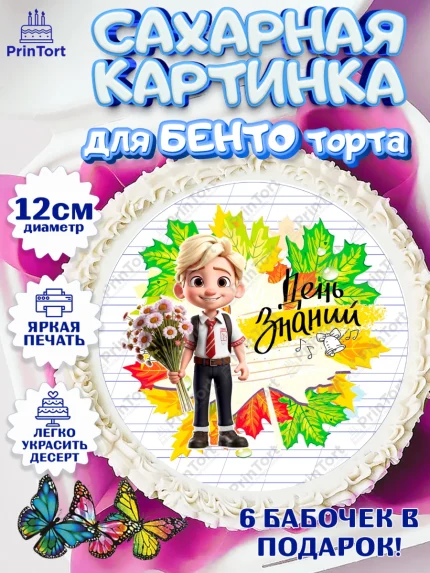Сахарные круги 12см PT05, 1 сентября, Мальчик, школьник, ученик, учебник, школа, день знаний, осень, арт. PT0518613