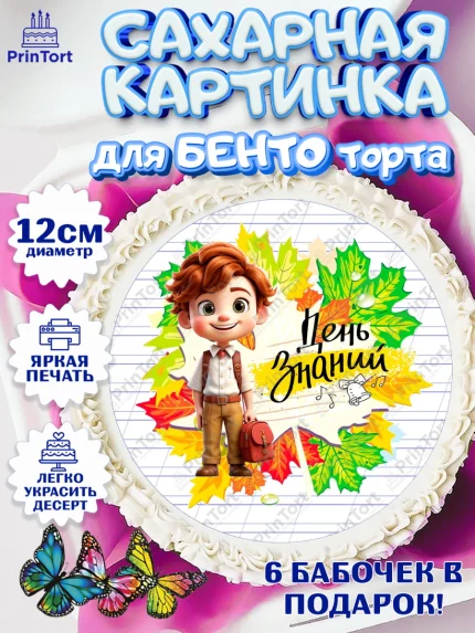 Сахарные круги 12см PT05, 1 сентября, Мальчик, школьник, ученик, учебник, школа, день знаний, осень, арт. PT0518616
