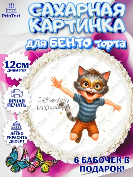 Сахарные круги 12см PT05, Квадробика мальчики, мальчик, подросток, квадробика, маска кота, маска, арт. PT0518863