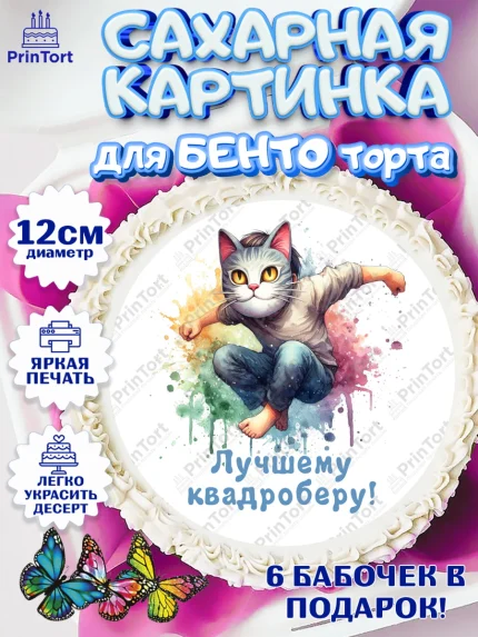 Сахарные круги 12см PT05, Квадробика мальчики, мальчик, подросток, квадробика, маска кота, маска, арт. PT0518864