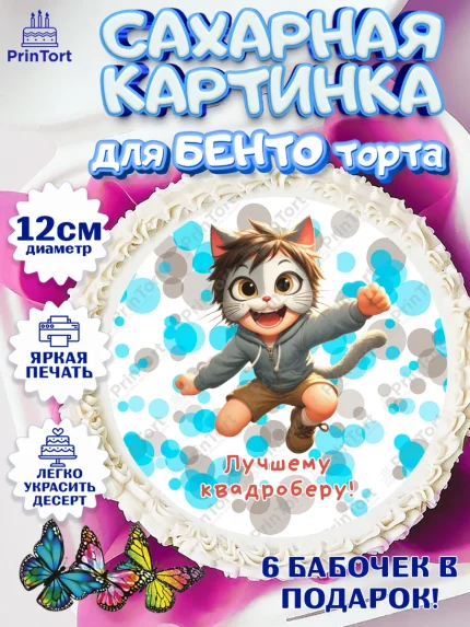 Сахарные круги 12см PT05, Квадробика мальчики, мальчик, подросток, квадробика, маска кота, маска, арт. PT0518865