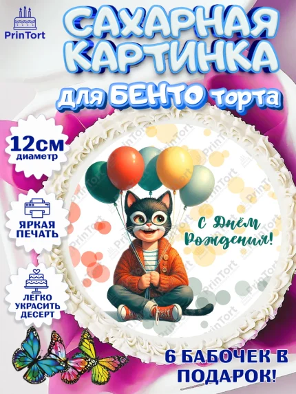 Сахарные круги 12см PT05, Квадробика мальчики, мальчик, подросток, квадробика, маска кота, маска, арт. PT0518866