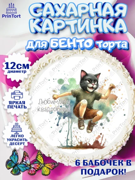 Сахарные круги 12см PT05, Квадробика мальчики, мальчик, подросток, квадробика, маска кота, маска, арт. PT0518867