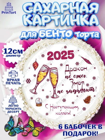 Сахарные круги 12см PT05, Новый год, Новый 2025 год, Ёлка, Дед Мороз, снеговик, ёлочные игрушки, арт. PT0518893