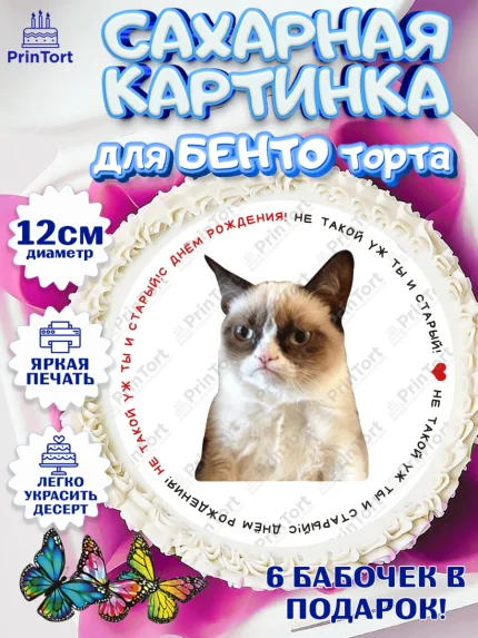 Сахарные круги 12см PT05, Мемы и коты, кот, мемный кот, кошка, приколы, Девочка, День рождения, арт. PT0519327