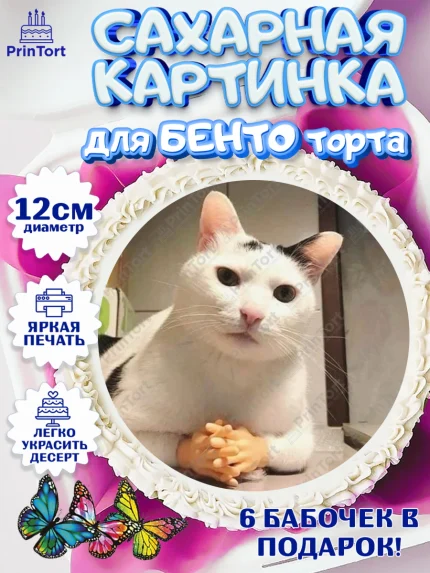Сахарные круги 12см PT05, Мемы и коты, кот, мемный кот, кошка, приколы, Девочка, День рождения, арт. PT0519331