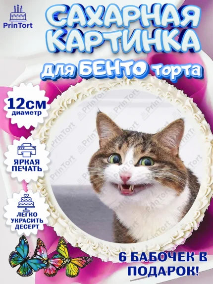 Сахарные круги 12см PT05, Мемы и коты, кот, мемный кот, кошка, приколы, Девочка, День рождения, арт. PT0519332