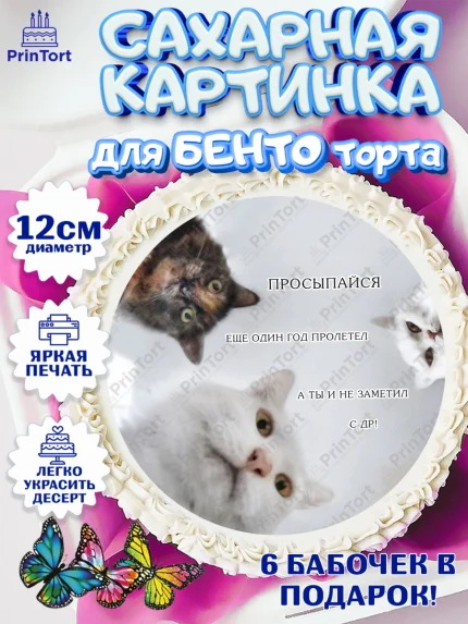 Сахарные круги 12см PT05, Мемы и коты, кот, мемный кот, кошка, приколы, Девочка, День рождения, арт. PT0519333
