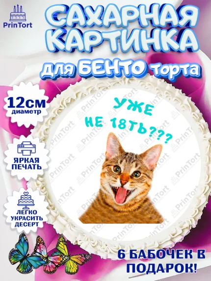Сахарные круги 12см PT05, Мемы и коты, кот, мемный кот, кошка, приколы, Девочка, День рождения, арт. PT0519334