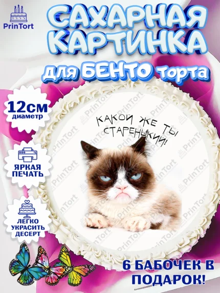 Сахарные круги 12см PT05, Мемы и коты, кот, мемный кот, кошка, приколы, Девочка, День рождения, арт. PT0519335