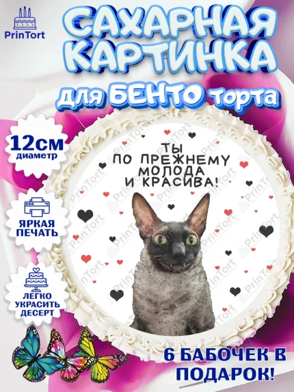 Сахарные круги 12см PT05, Мемы и коты, кот, мемный кот, кошка, приколы, Девочка, День рождения, арт. PT0519336