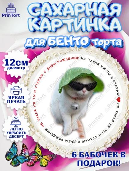 Сахарные круги 12см PT05, Мемы и коты, кот, мемный кот, кошка, приколы, Девочка, День рождения, арт. PT0519338