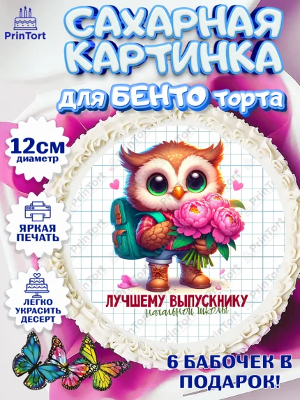Сахарные круги 12см PT05, Выпускной в школе, школьный выпускной 2025, учителю на выпускной, Девочка, арт. PT0519765