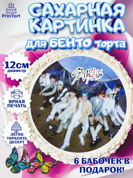 Сахарные круги 12см PT05, Стрей Кидс, Музыкальная группа, Группа Stray Kids, Stray Kids, Девочка, арт. PT0520065