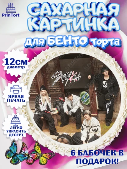 Сахарные круги 12см PT05, Стрей Кидс, Музыкальная группа, Группа Stray Kids, Stray Kids, Девочка, арт. PT0520071