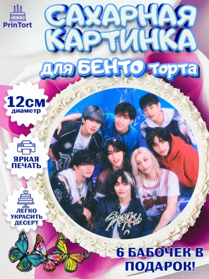 Сахарные круги 12см PT05, Стрей Кидс, Музыкальная группа, Группа Stray Kids, Stray Kids, Девочка, арт. PT0520072