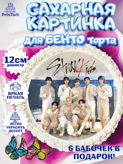 Сахарные круги 12см PT05, Стрей Кидс, Музыкальная группа, Группа Stray Kids, Stray Kids, Девочка, арт. PT0520076