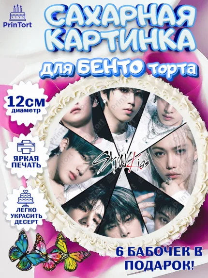 Сахарные круги 12см PT05, Стрей Кидс, Музыкальная группа, Группа Stray Kids, Stray Kids, Девочка, арт. PT0520077