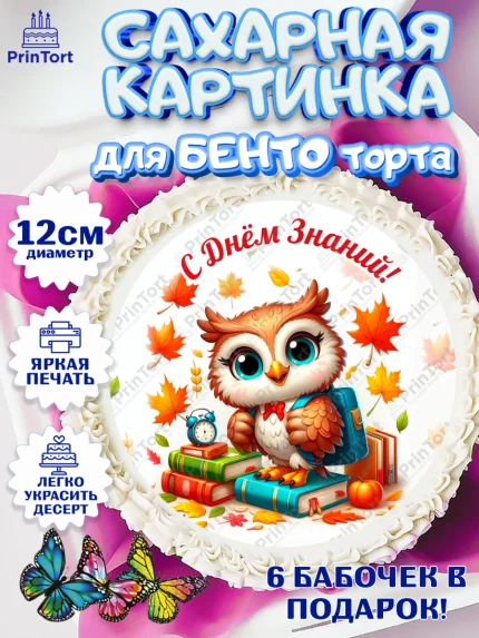 Сахарные круги 12см PT05, 1 сентября, День знаний, снова в школу, первый раз в первый класс, арт. PT0520131