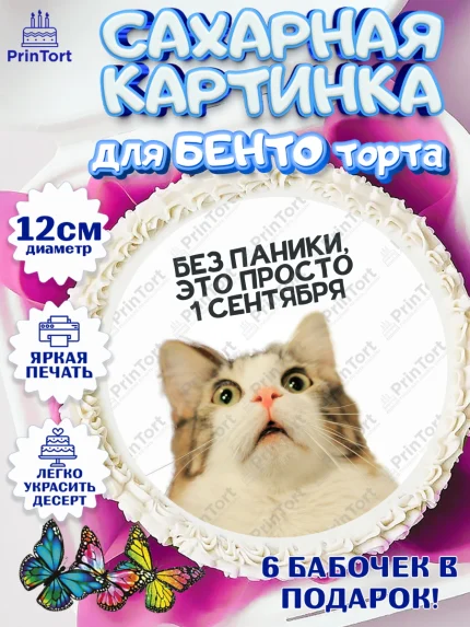 Сахарные круги 12см PT05, 1 сентября, День знаний, снова в школу, первый раз в первый класс, арт. PT0520135