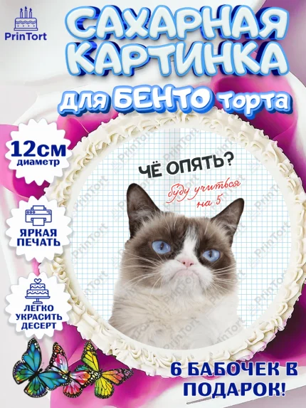 Сахарные круги 12см PT05, 1 сентября, День знаний, снова в школу, первый раз в первый класс, арт. PT0520136
