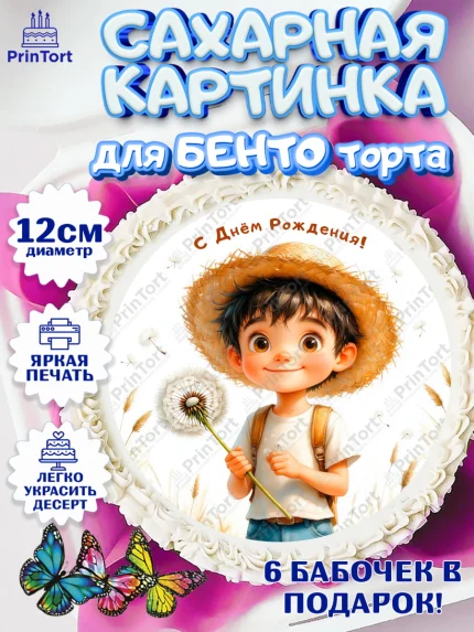 Сахарные круги 12см PT05, День рождения, мальчик, одуванчик, арт. PT0520171