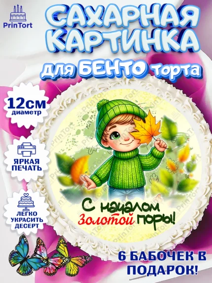 Сахарные круги 12см PT05, День рождения, осень, осенняя пора, листья, девочка, осенние листья, арт. PT0520214