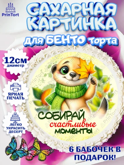 Сахарные круги 12см PT05, День рождения, осень, осенняя пора, листья, девочка, осенние листья, арт. PT0520215