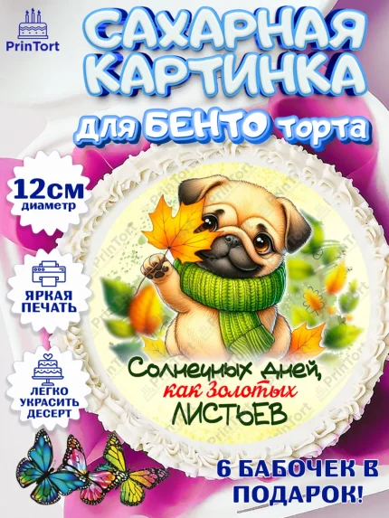 Сахарные круги 12см PT05, День рождения, осень, осенняя пора, листья, девочка, осенние листья, арт. PT0520217