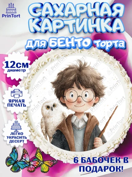 Сахарные круги 12см PT05, Гарри Поттер, Harry Potter, Хогвартс, Гермиона, Драко, Рон, платформа 9, арт. PT0522063