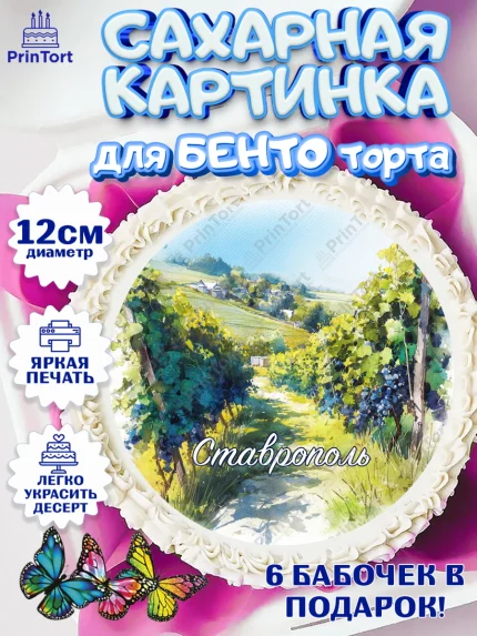 Сахарные круги 12см PT05, Ставрополь, город Ставрополь, с любовью из Ставрополя, Девочка, арт. PT0522326