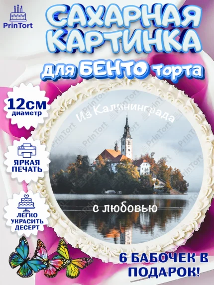 Сахарные круги 12см PT05, Калининград, город Калининград, с любовью из Калининграда, Девочка, арт. PT0522355