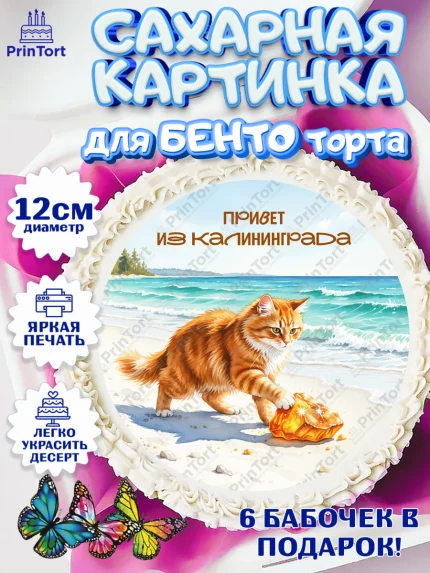 Сахарные круги 12см PT05, Калининград, город Калининград, с любовью из Калининграда, Девочка, арт. PT0522357