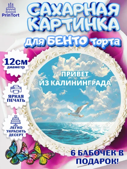 Сахарные круги 12см PT05, Калининград, город Калининград, с любовью из Калининграда, Девочка, арт. PT0522359