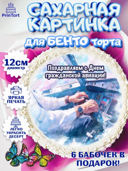 Сахарные круги 12см PT05, Авиация, пилот, стюардесса, самолет, путешествие, автопилот, билет, арт. PT0522554