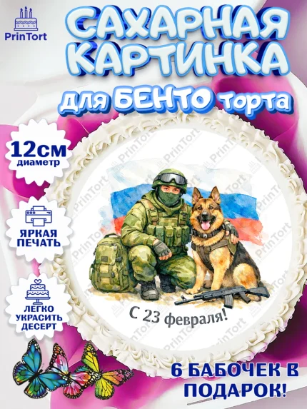 Сахарные круги 12см PT05, 23 февраля, День защитника отечества, военный, мужчина, танк, самолет, арт. PT0522809