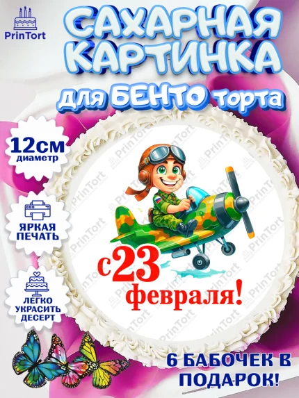 Сахарные круги 12см PT05, 23 февраля, День защитника отечества, военный, мужчина, танк, самолет, арт. PT0522828