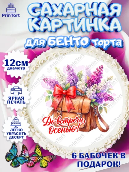 Сахарные круги 12см PT05, Подарок учителю, Девушка, Выпускной в школе, арт. PT0523161