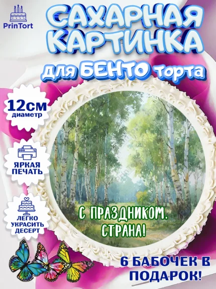 Сахарные круги 12см PT05, День России, Поздравление с Днем России, Девушка, арт. PT0523192