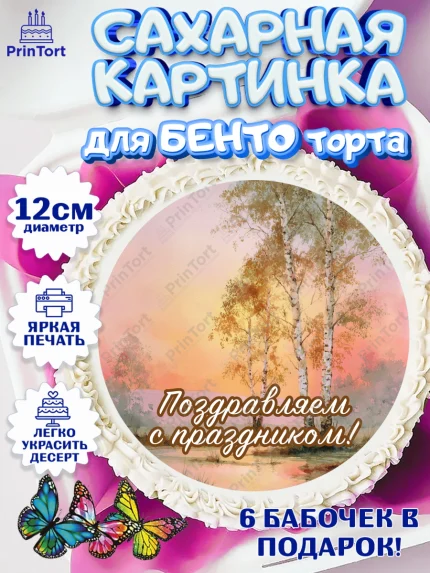 Сахарные круги 12см PT05, День России, Поздравление с Днем России, Девушка, арт. PT0523196