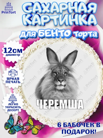 Сахарные круги 12см PT05, Черемша, Мем Черемша, Девочка, Без конкретного повода, арт. PT0523444
