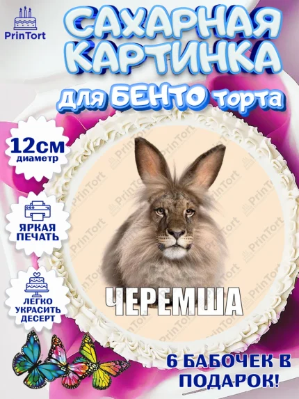 Сахарные круги 12см PT05, Черемша, Мем Черемша, Девочка, Без конкретного повода, арт. PT0523445