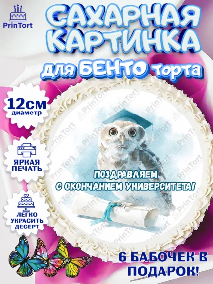 Сахарные круги 12см PT05, Выпускной в университете, арт. PT0523521