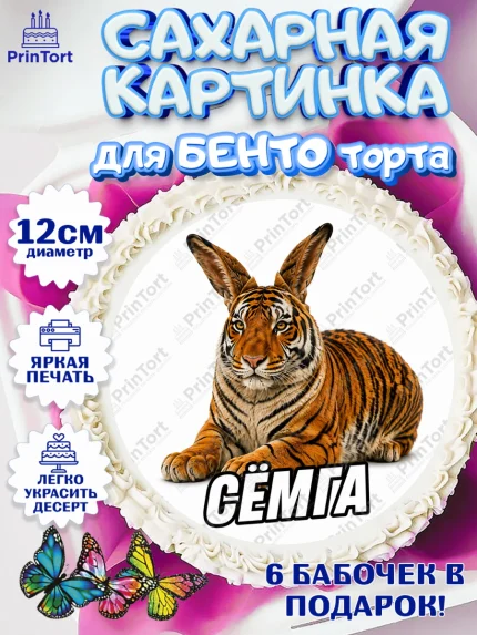 Сахарные круги 12см PT05, Сёмга, Мем Сёмга, Девочка, Без конкретного повода, арт. PT0524416
