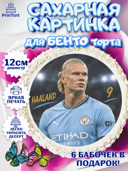 Сахарные круги 12см PT05, Футболисты, Футболист Холланд, Девочка, Без конкретного повода, арт. PT0524514