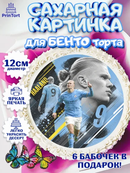 Сахарные круги 12см PT05, Холланд, Футболист Холланд, Девочка, Без конкретного повода, арт. PT0526307
