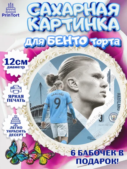 Сахарные круги 12см PT05, Холланд, Футболист Холланд, Девочка, Без конкретного повода, арт. PT0526308