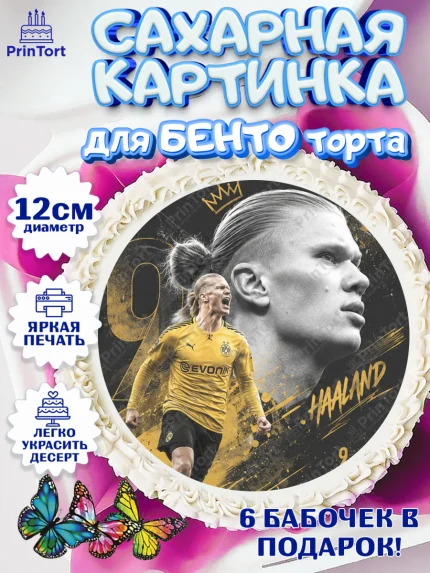 Сахарные круги 12см PT05, Холланд, Футболист Холланд, Девочка, Без конкретного повода, арт. PT0526309